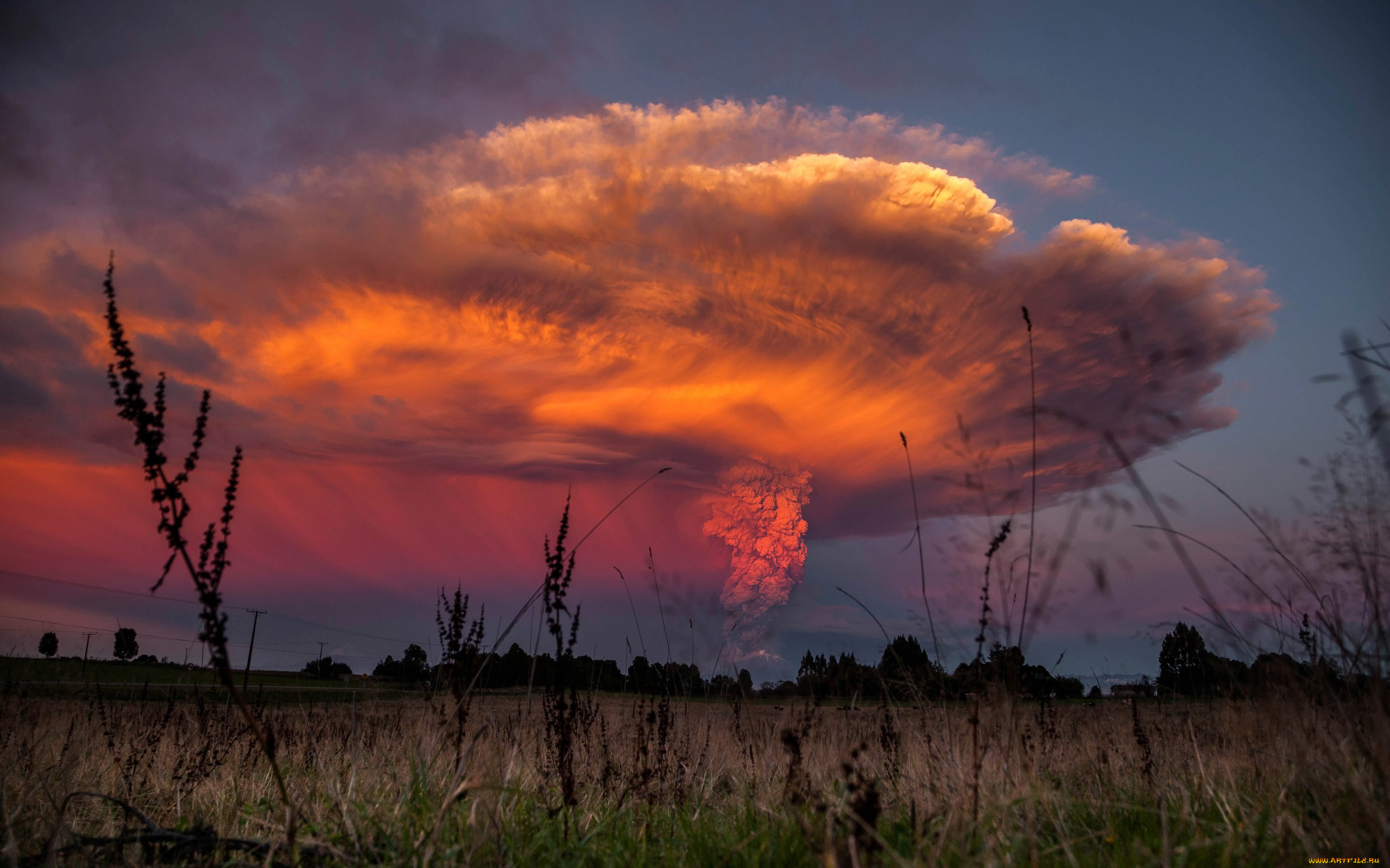 , , , , calbuco